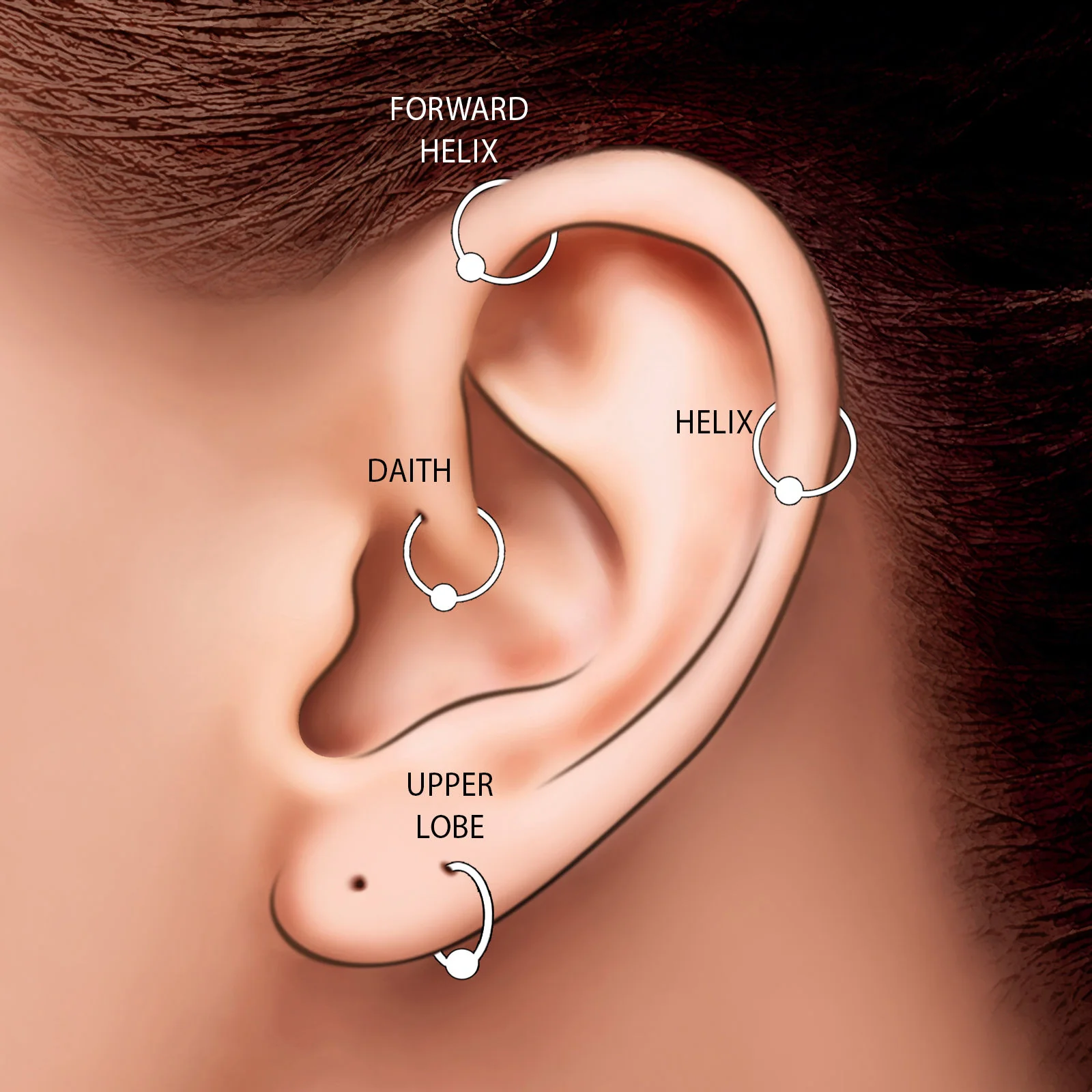 תמונת מוצר 2
